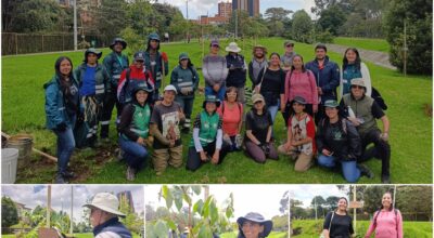 Historias del verde urbano: Canal Boyacá fortaleció su gran tesoro verde: el arbolado