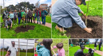 Historias del verde urbano: ¡Engativá renaturaliza sus parques y canales!