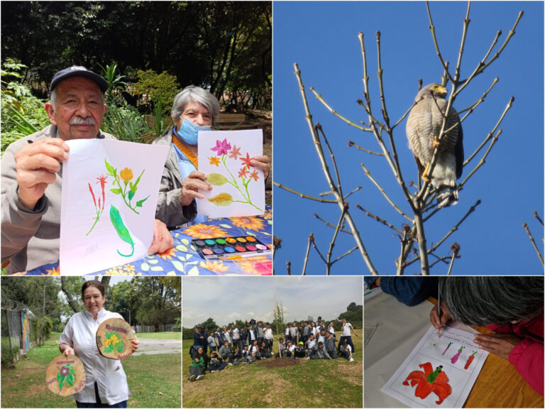 Historias del verde urbano: “Maratón” de actividades ambientales en los bosques urbanos de Bogotá