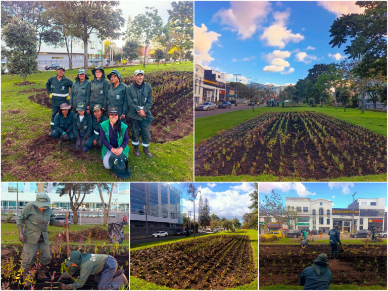 Historias del verde urbano: ¡Renovación jardinera en La Esmeralda!