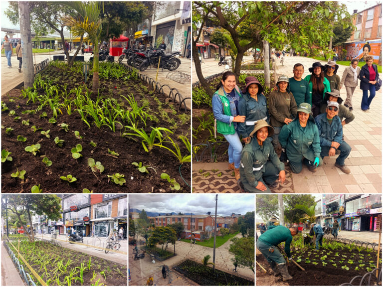 Historias del verde urbano: ¡Alianza con el centro comercial Plaza de las Américas arrojó su primer fruto jardinero!
