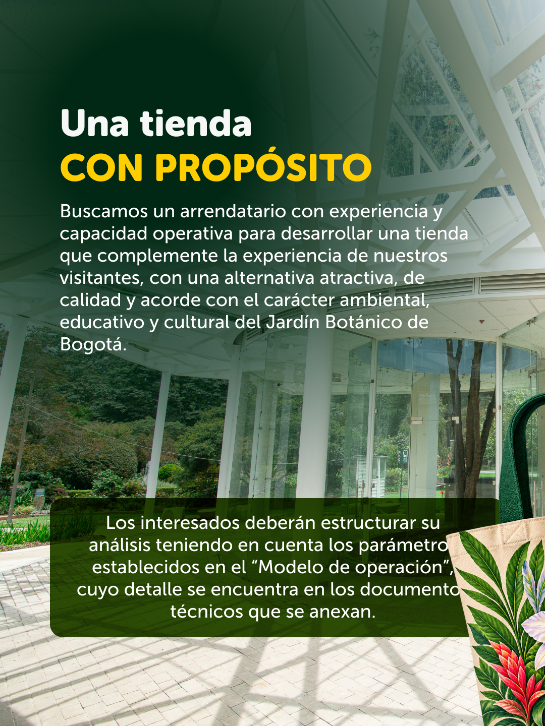 Posibilidad Tienda_3