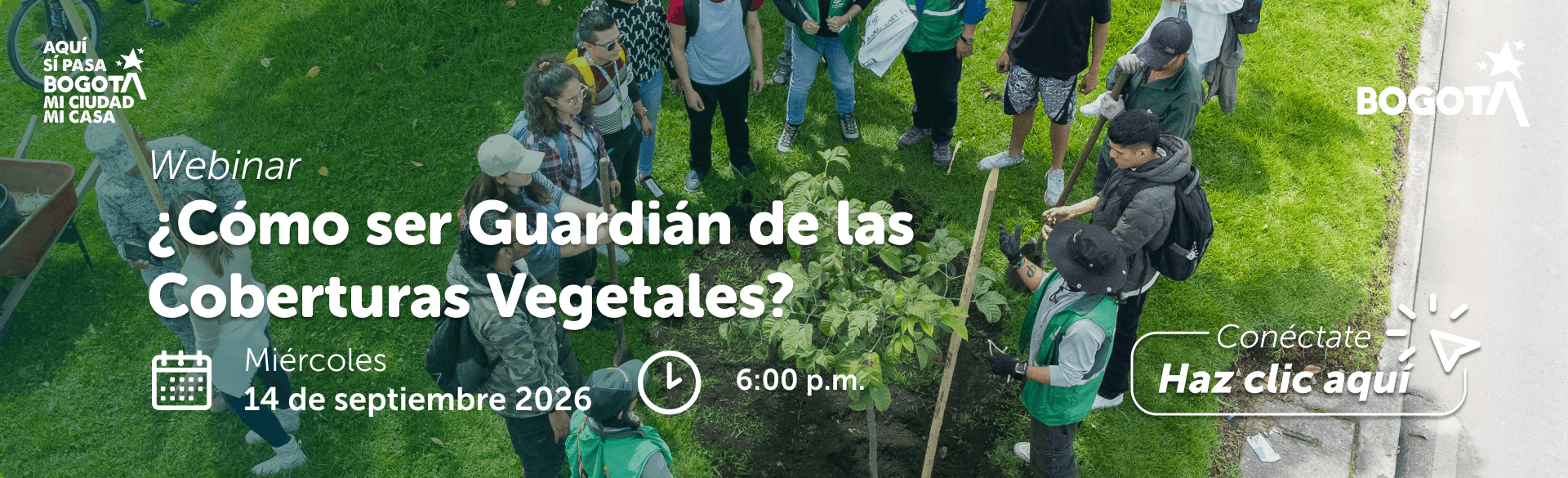 Como ser el guardián de las coberturas vegetales