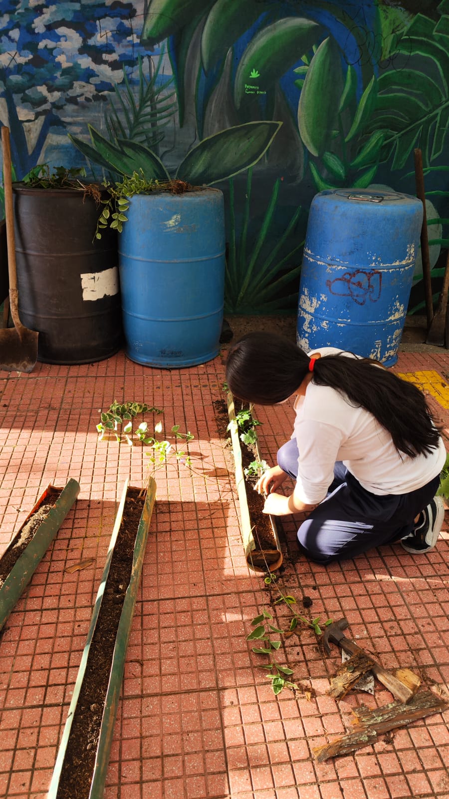 Tejiendo territorios: Conexiones que dan vida a la biodiversidad desde el territorio Tejiendo territorios: Conexiones que dan vida a la biodiversidad desde el territorio