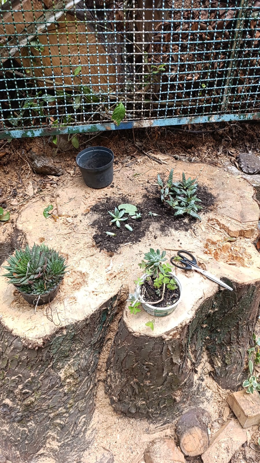 Tejiendo territorios: Conexiones que dan vida a la biodiversidad desde el territorio Tejiendo territorios: Conexiones que dan vida a la biodiversidad desde el territorio