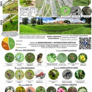 Autor: Angela María Montoya Quiroga;Diego Almonacid
año:2023 Corredor de Desarrollo Sostenible La Magdalena (PROCEDA)