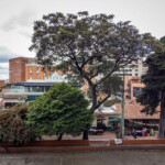 Occidente DJI_0501