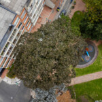 Sur DJI_0519
