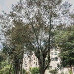 Biblioteca Nacional (2)