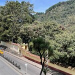 Casa Museo Quinta de Bolívar 2 - Ríchard Javier Quitián Peña