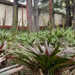 Casa Museo Quinta de Bolívar 3 - Ríchard Javier Quitián Peña