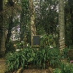 Quinta de Bolívar (1)