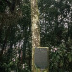 Quinta de Bolívar (3)