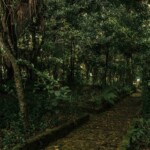 Quinta de Bolívar (4)