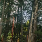 Quinta de Bolívar (6)