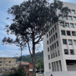 Universidad Jorge Tadeo Lozano 3- Ríchard Javier Quitián Peña
