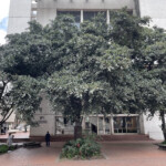 Universidad Jorge Tadeo Lozano 4- Ríchard Javier Quitián Peña