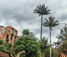 Multifamiliar RIncón (12)
